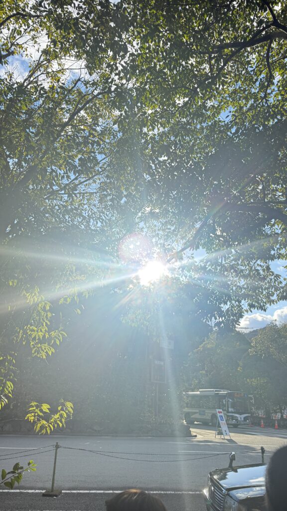 新年のご挨拶 〜それでも、前へ〜